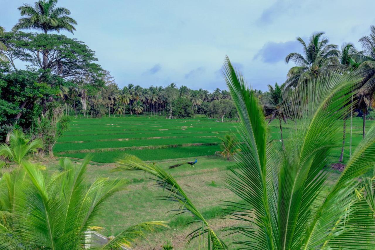 Brindavan Garden Resort & Spa Krishnarajasagara Exterior photo